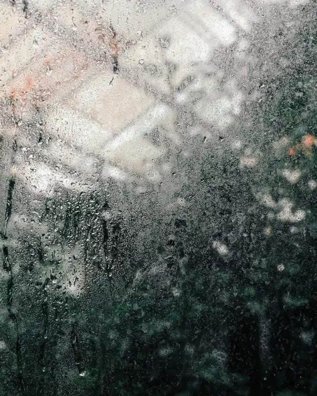 Fogged and wet window glass with a blurred view of trees behind it